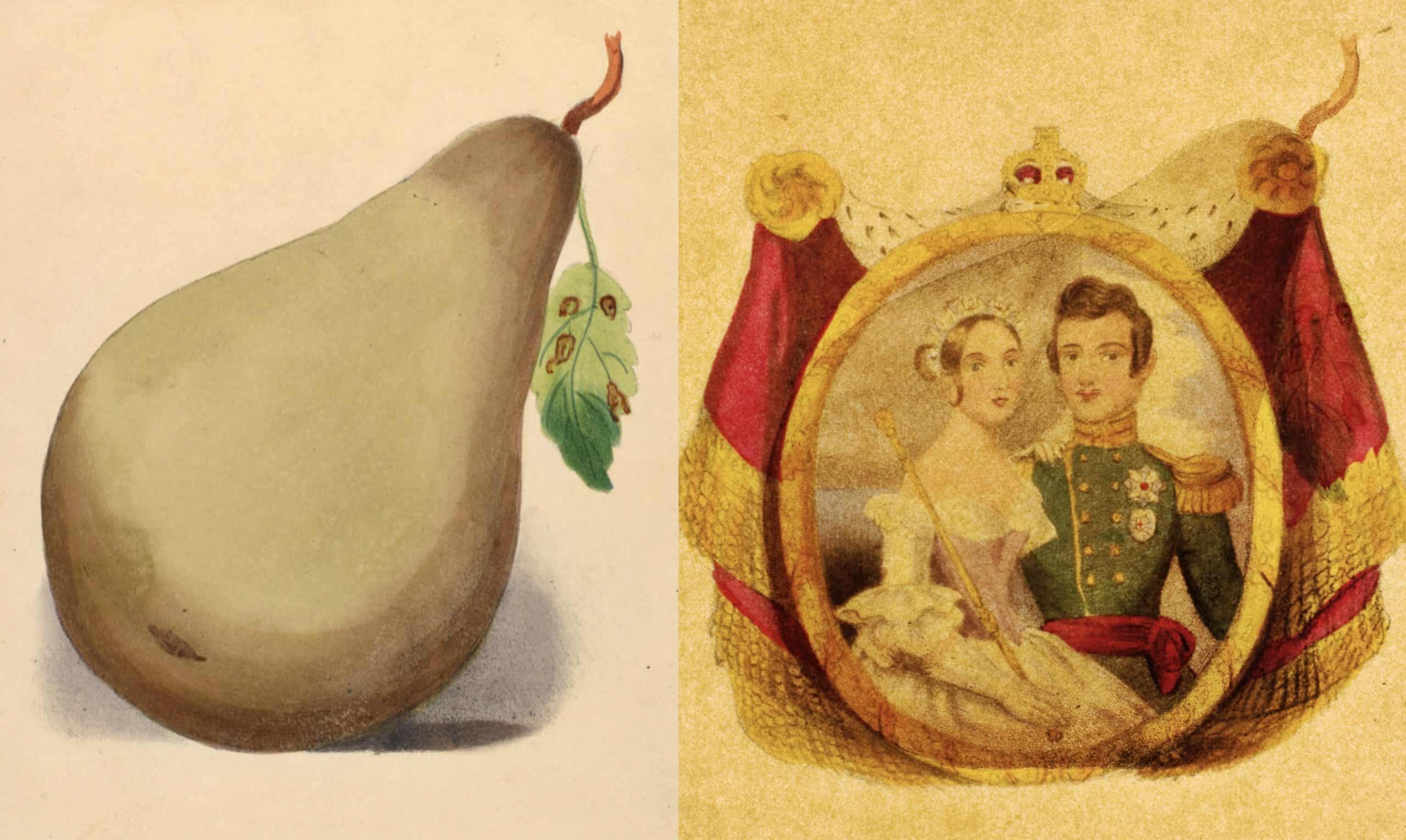 Portrait_of_Queen_Victoria_and_Prince_Albert_within_the_Windsor_pear