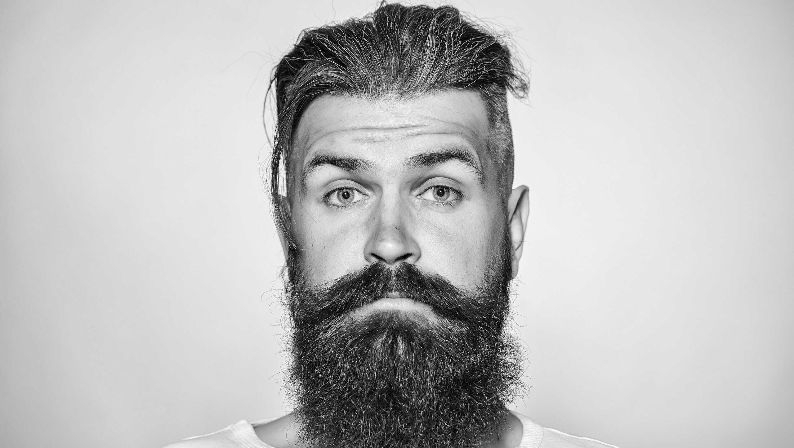 handsome young man with long beard and moustache on serious face with raised eyebrow on grey background in studio