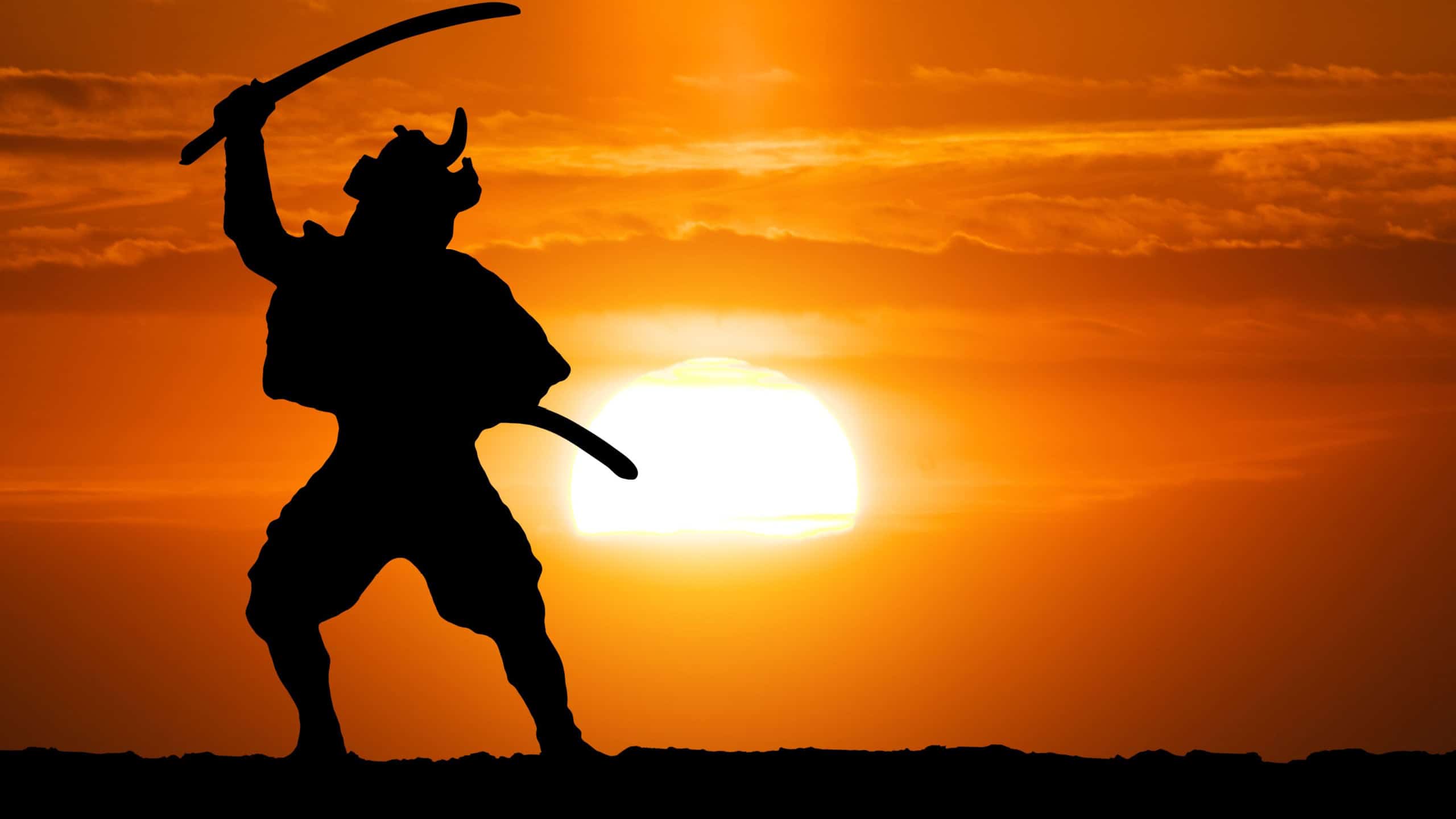 Samurai on sunset. Conceptual design.
