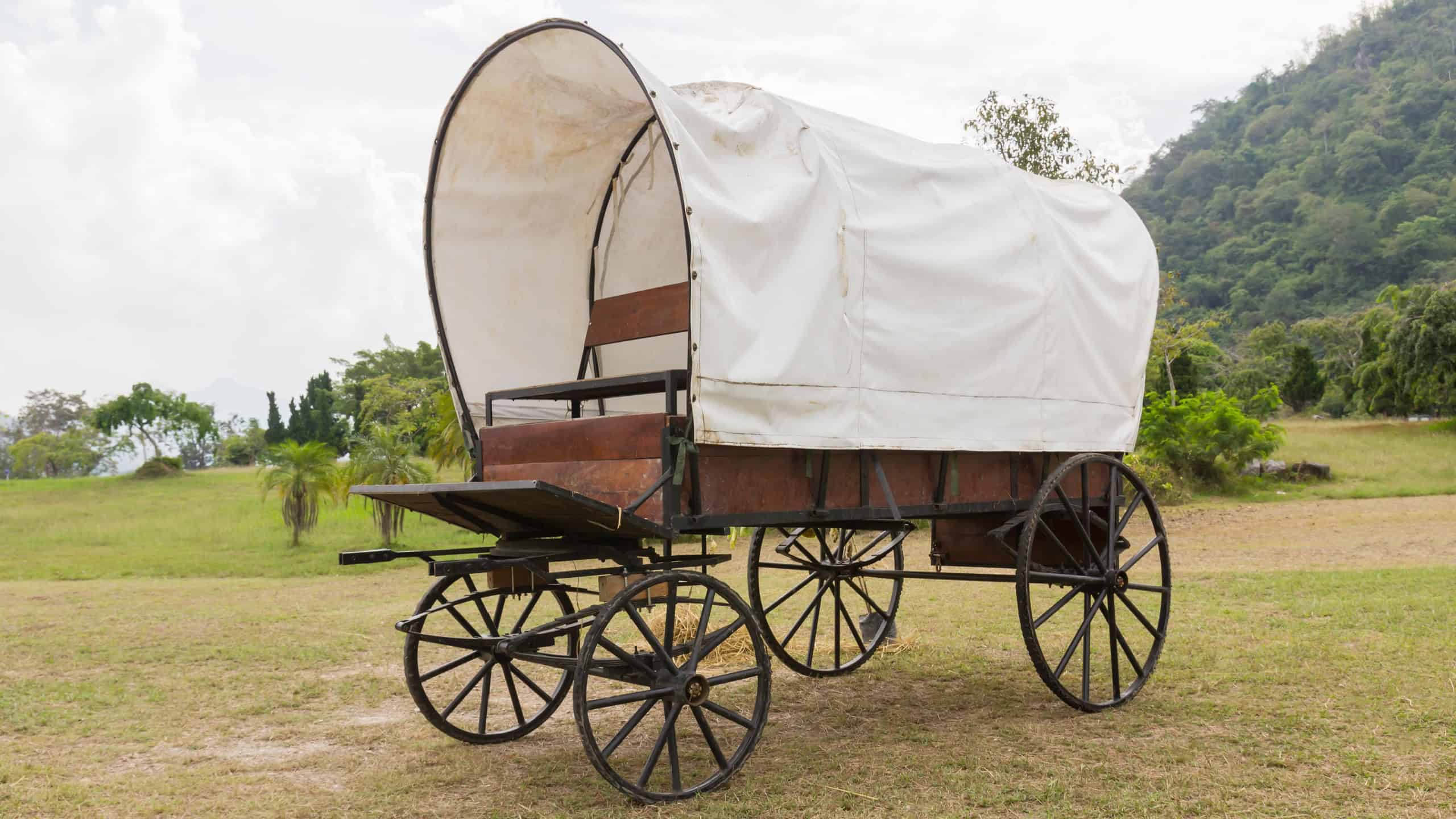 Covered wagon with white top in park