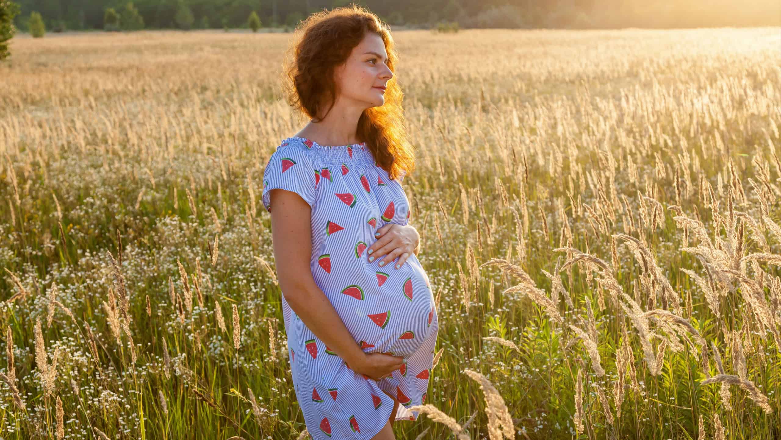 A cute pregnant woman in a beautiful dress is standing in the wheat field at a sunset.Pregnant family photo shoot in nature