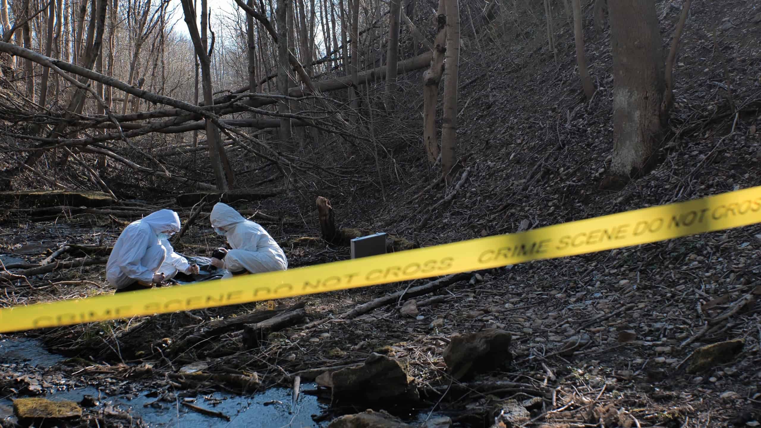 Detectives are collecting evidence in a crime scene. Forensic specialists are making expertise. Police investigation in a forest.