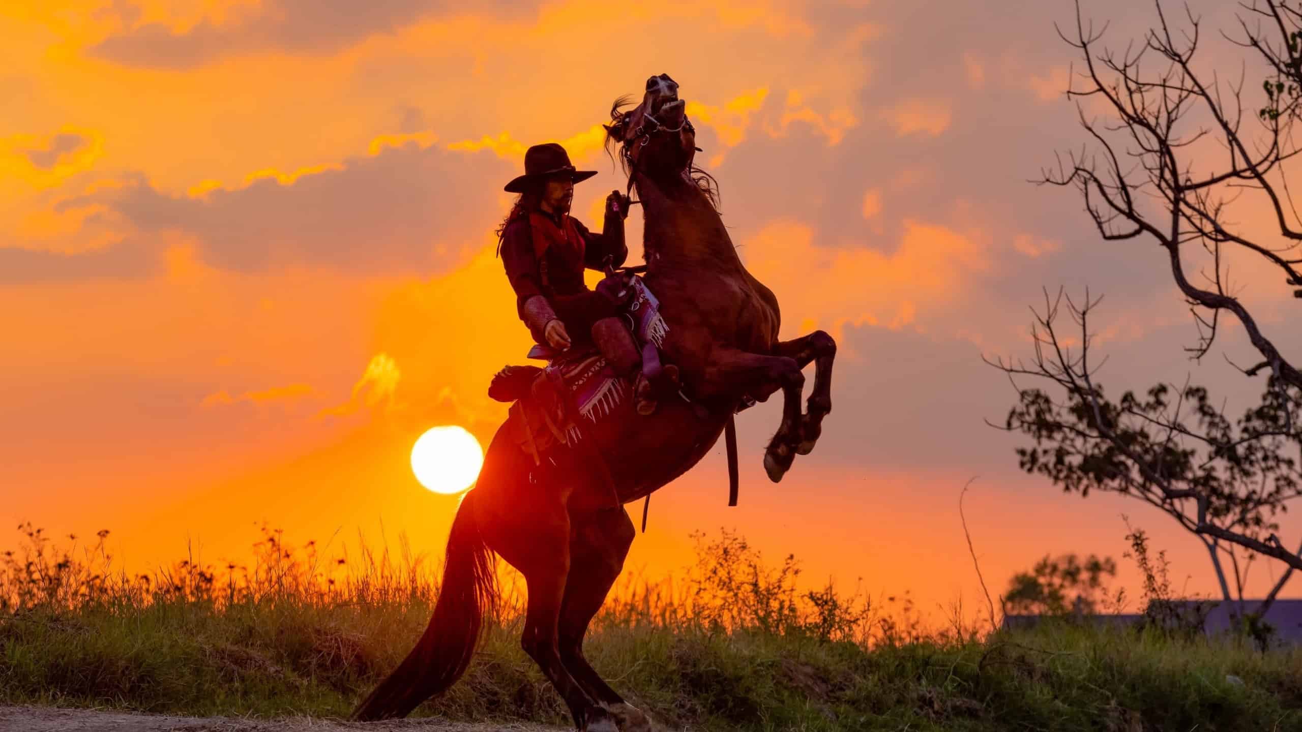 Abstract image of cowboy riding on a horse against colorful sunset sky. Silhouette of rider in cowboy costume sit on powerful and smart horse on sunrise background.