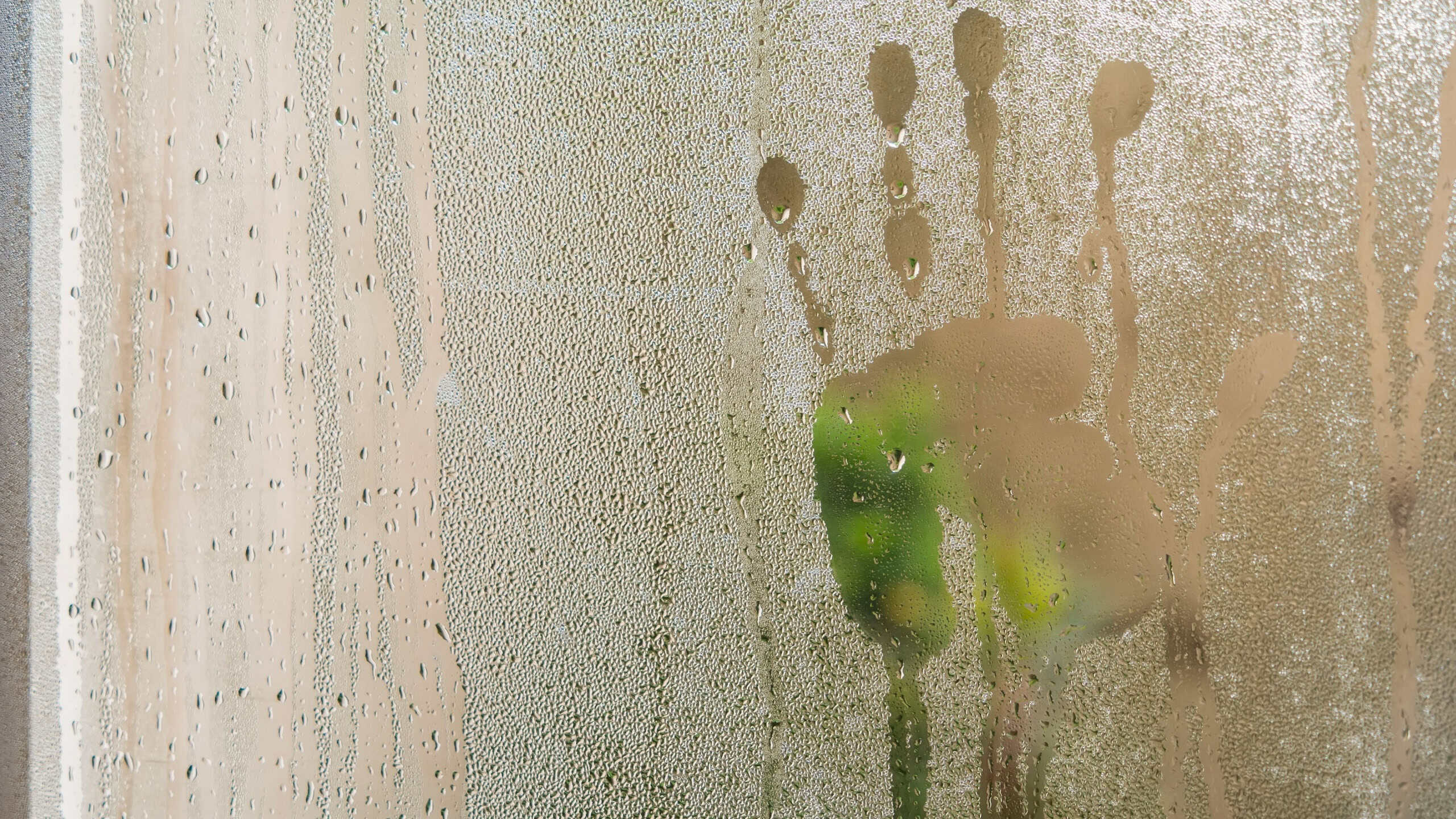 A close-up of a foggy window with a handprint, capturing the essence of human touch against nature.