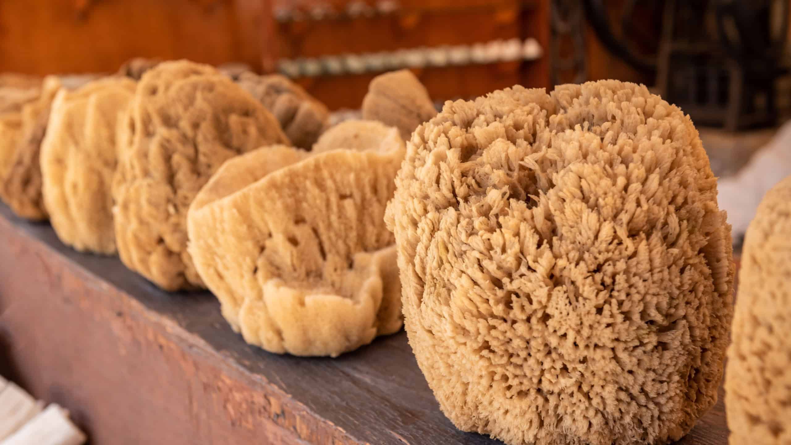 Natural sponges in local market.
