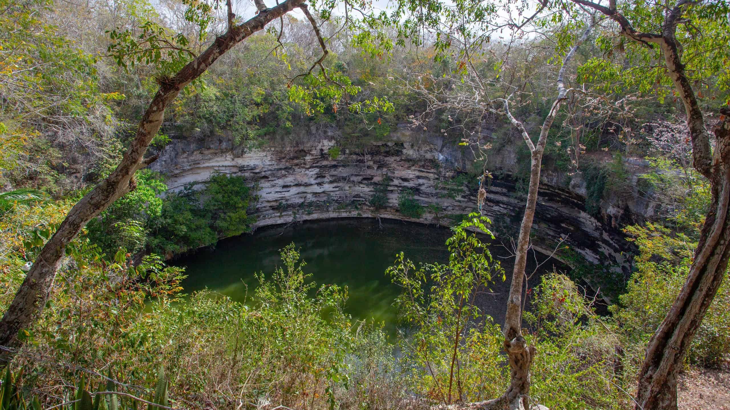 Sacred cenote at the archeological site Chichen Itza, Mexico