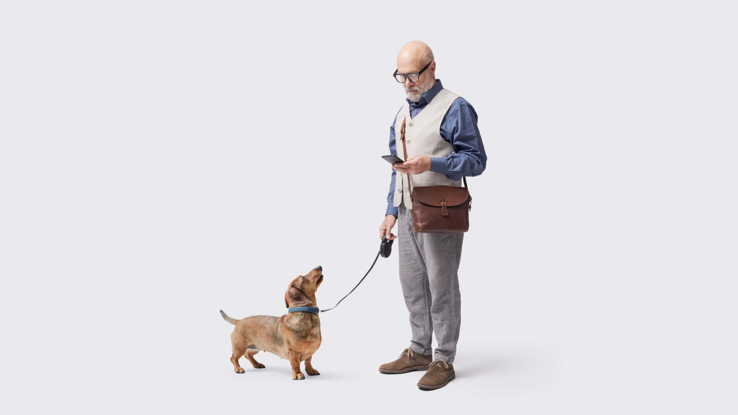Man walking the dog and checking the smartphone, the dog is staring at him, isolated on white background