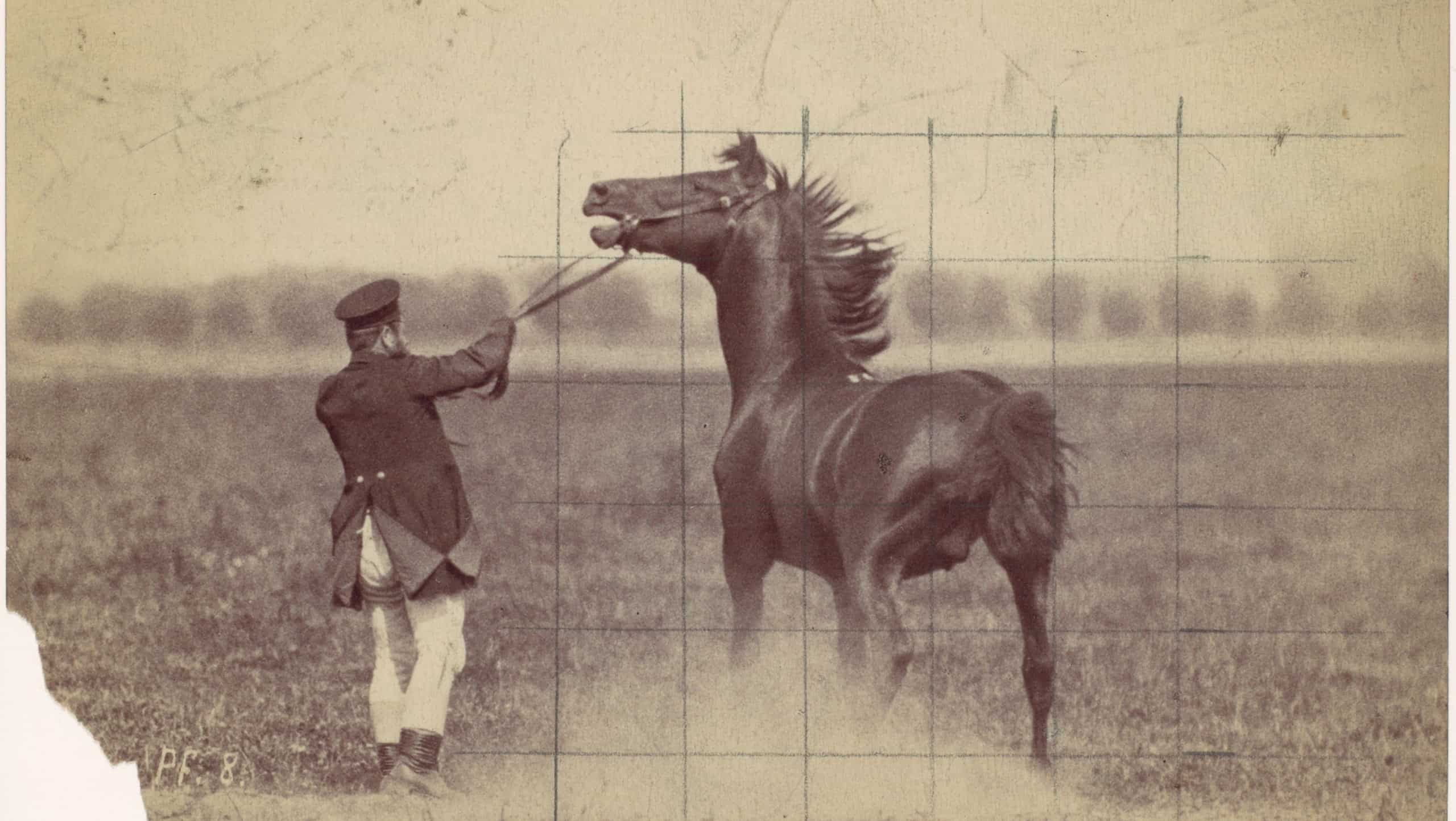 Vintage photo of a man with a horse, showcasing dynamic motion. The man, wearing a coat, interacts with the horse in an open field. Historical, horse, man, vintage. Vintage art illustration.
