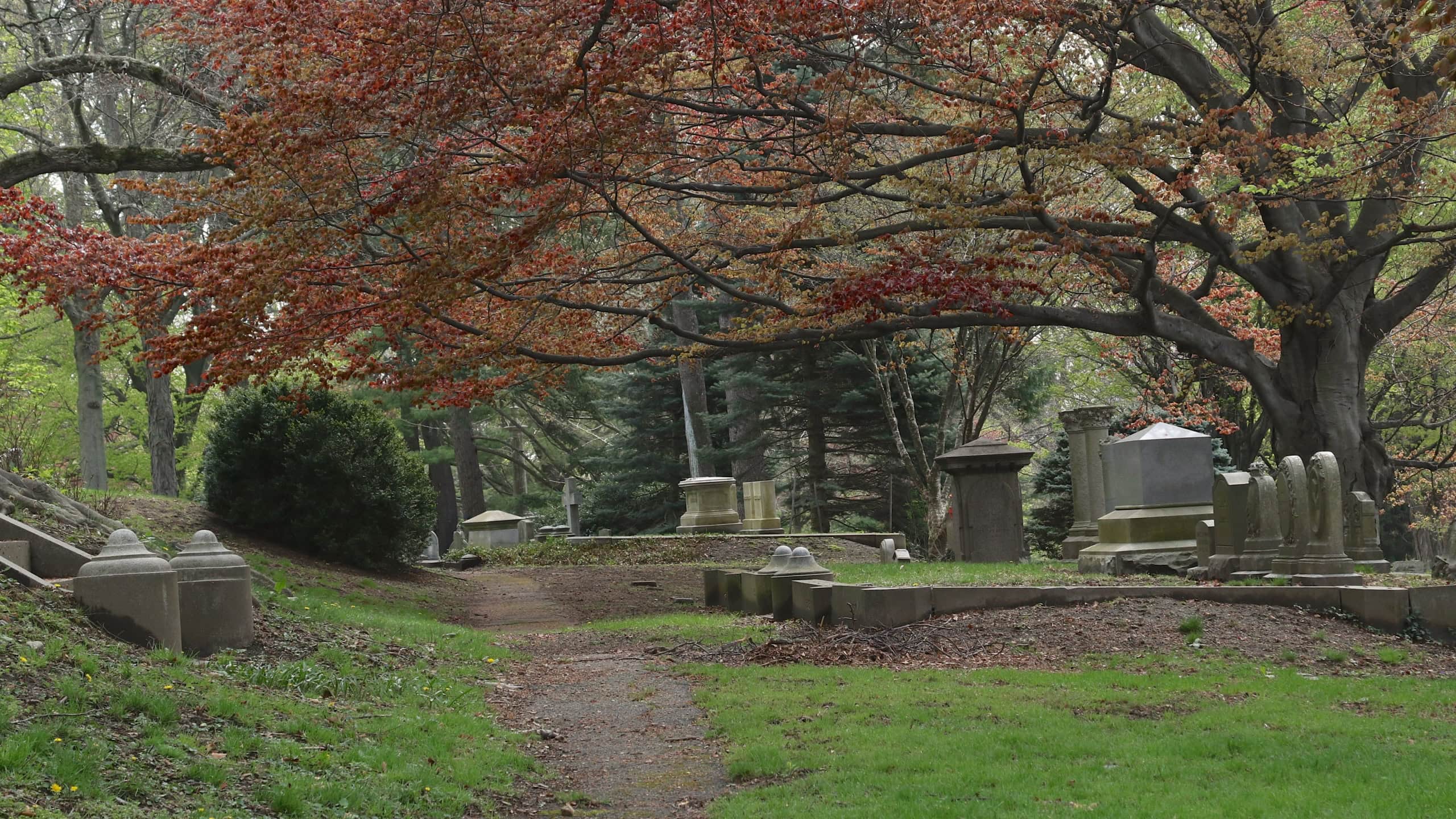 Mount Auburn Cemetery, Cambridge, Massachusetts