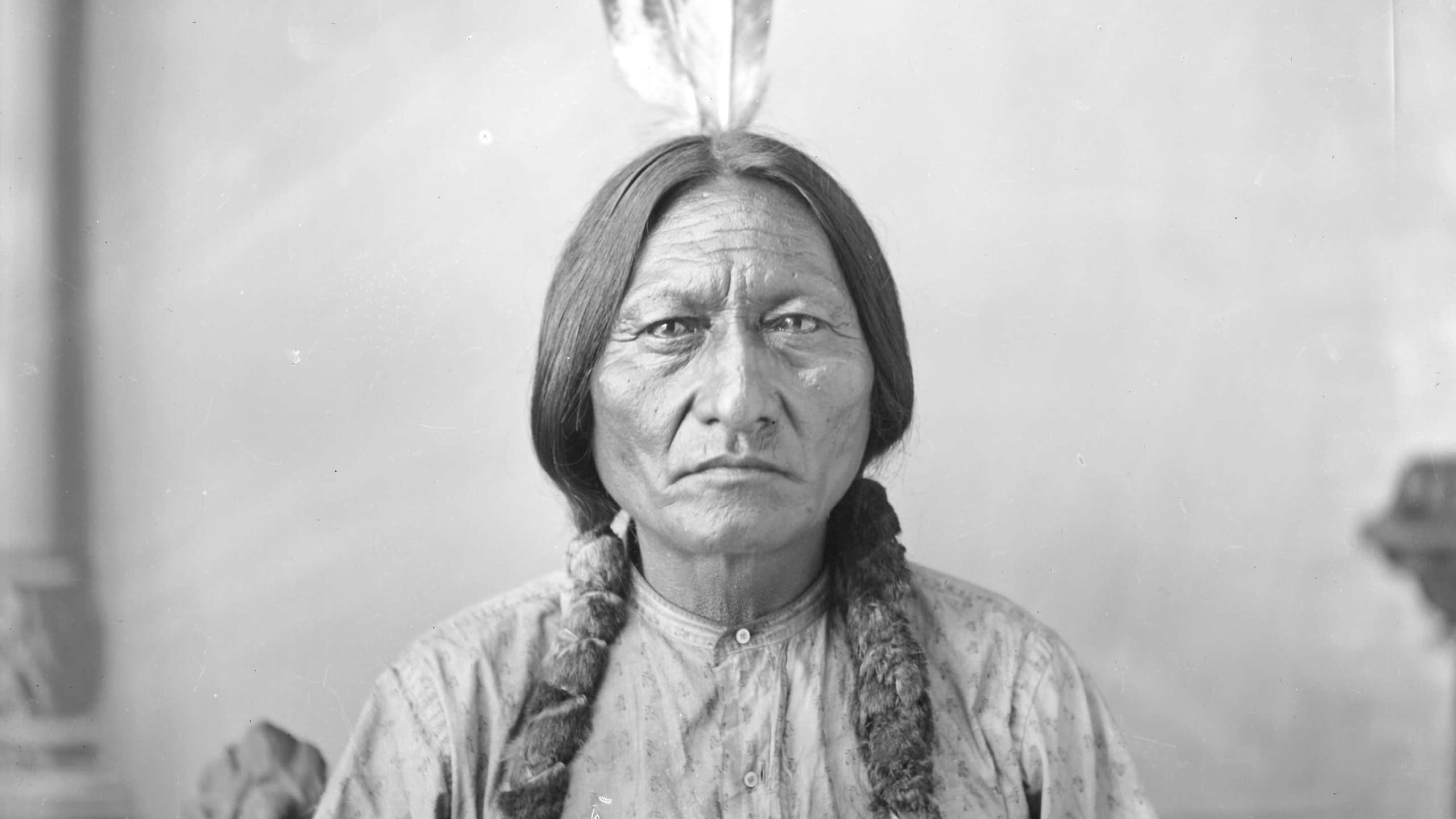 Sitting Bull by D F Barry