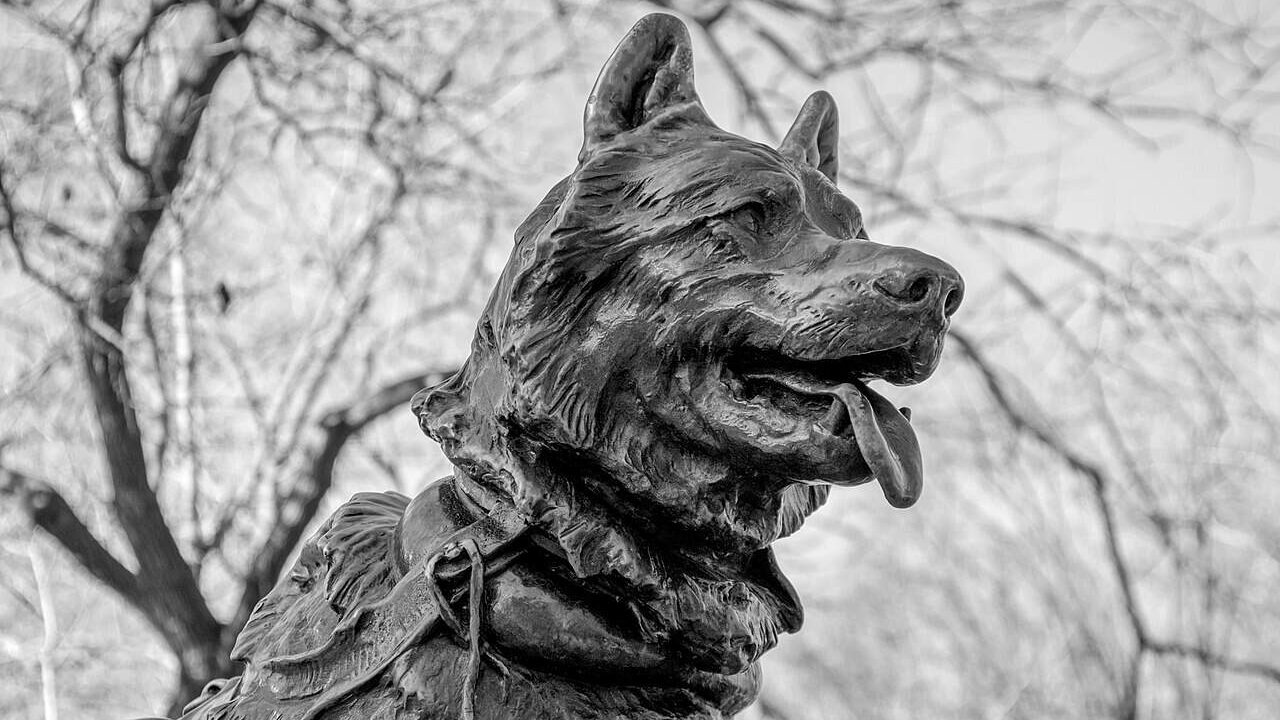 Statue of Balto in the middle of Central Park, on Manhattan Island, New York City.