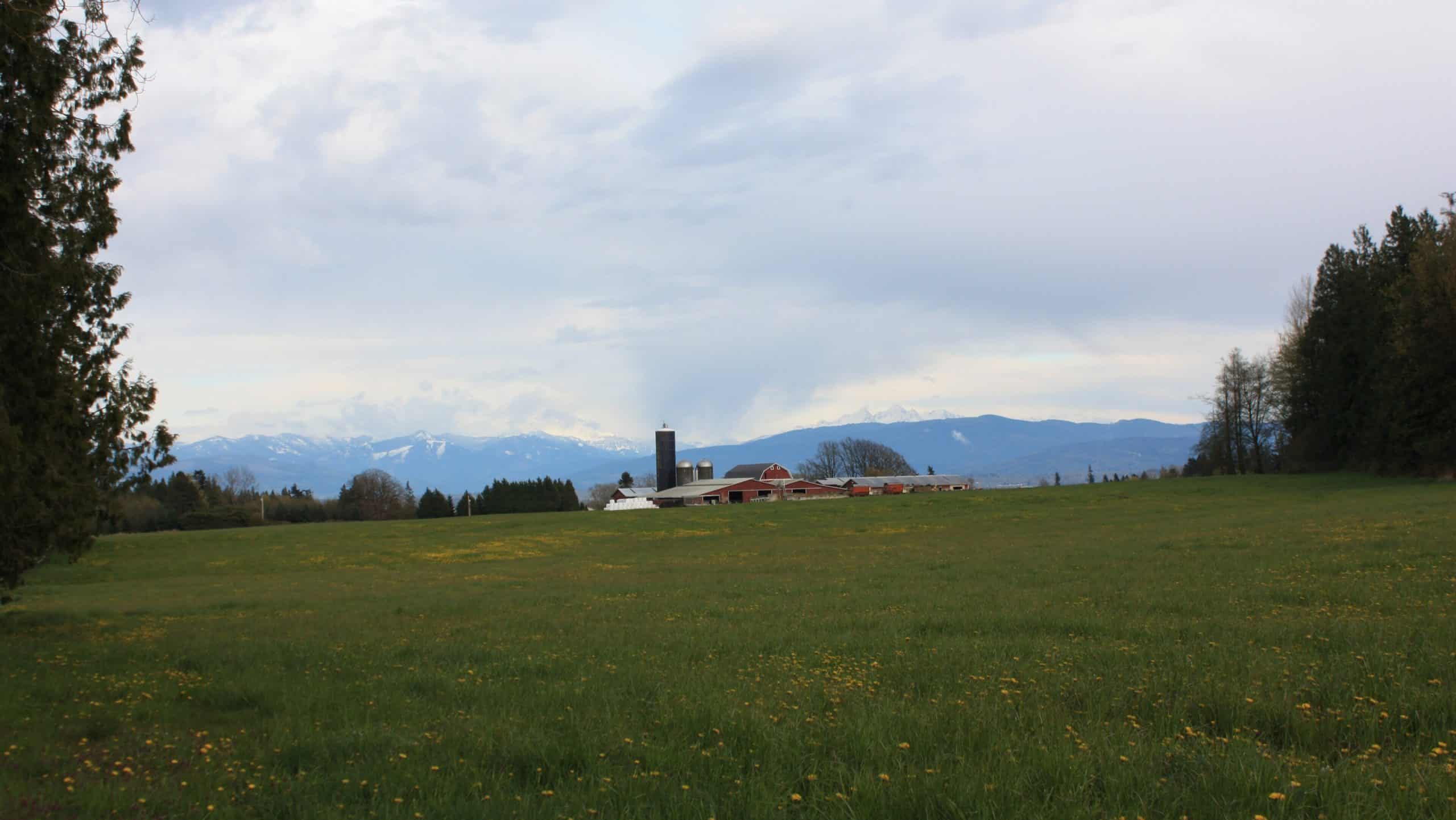 Farm in Whatcom County