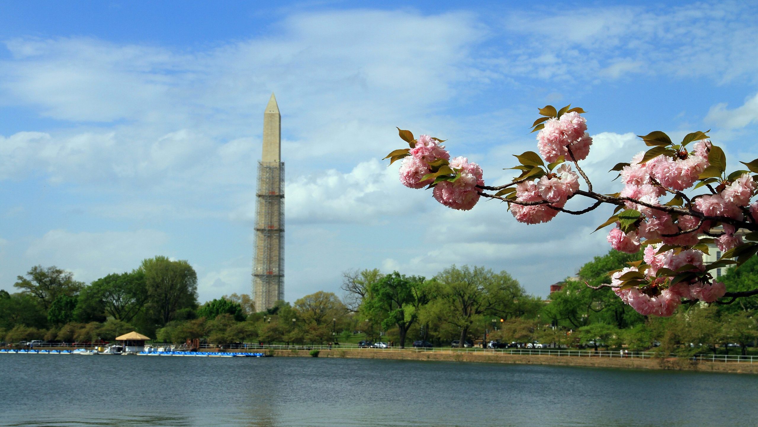 Tidal Basin