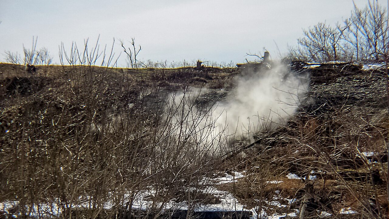 Centralia wafting b