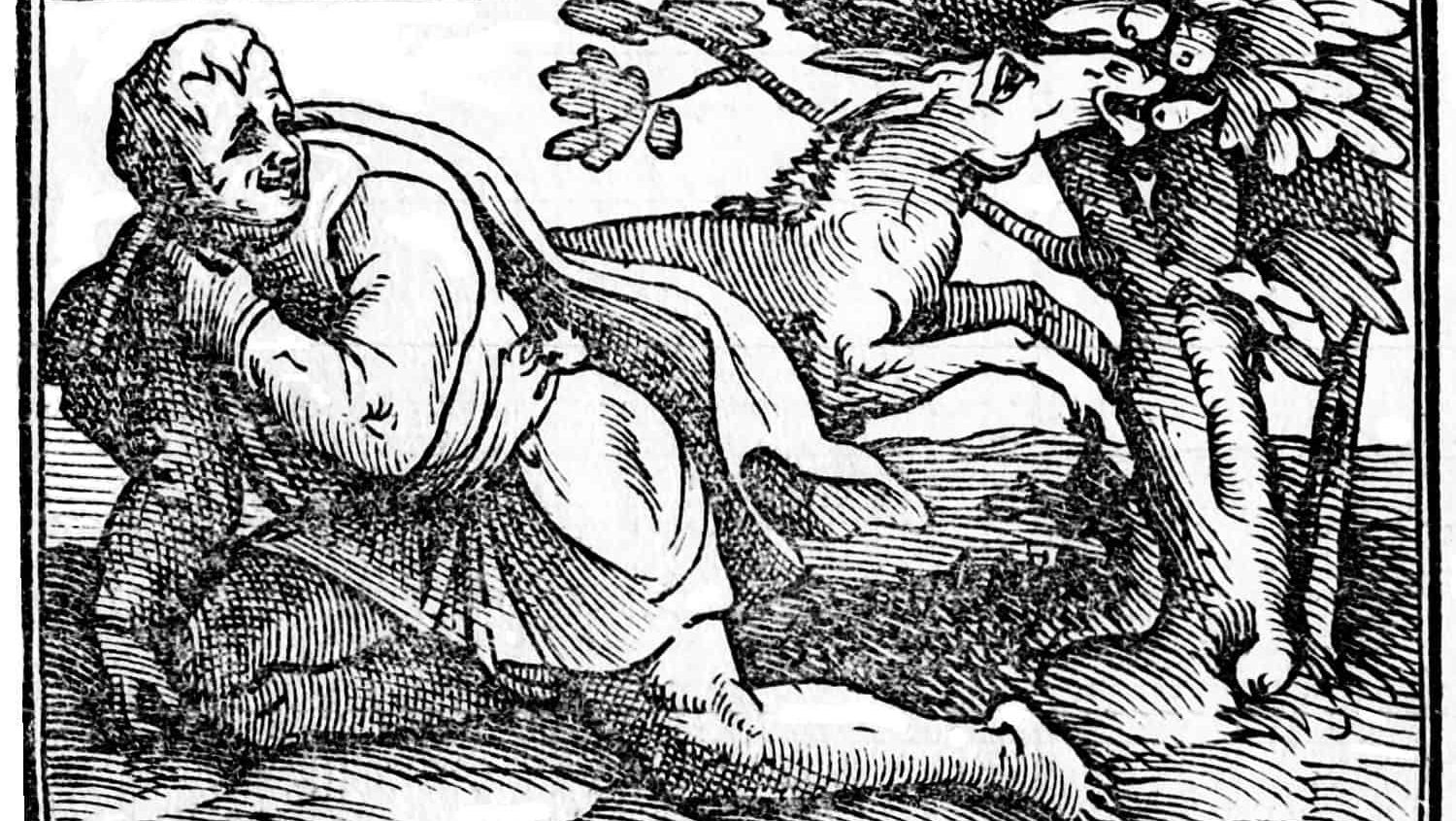 Chrysippus of Soli
