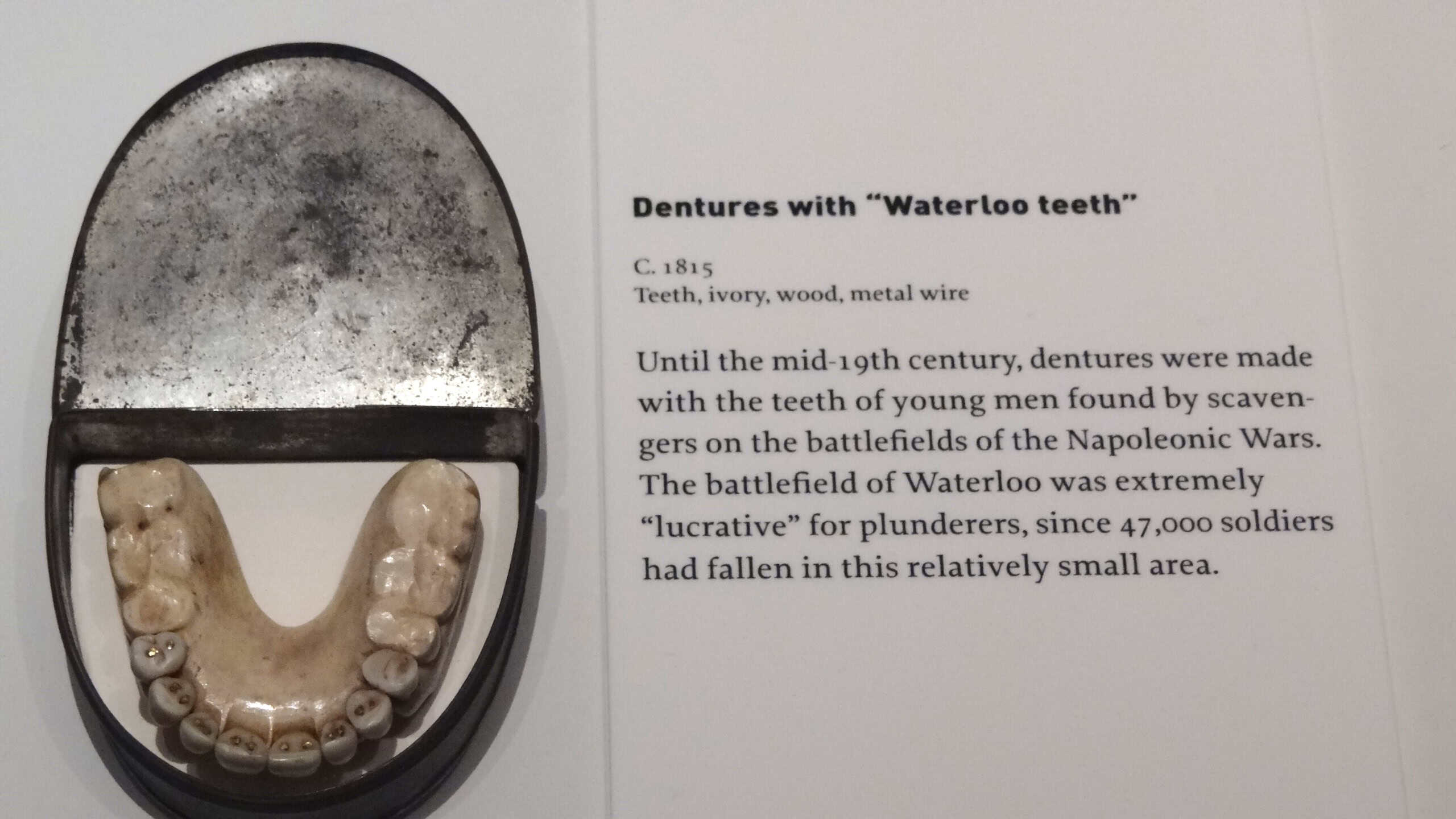 Dentures with Waterloo Teeth - Military Museum - Dresden - Germany