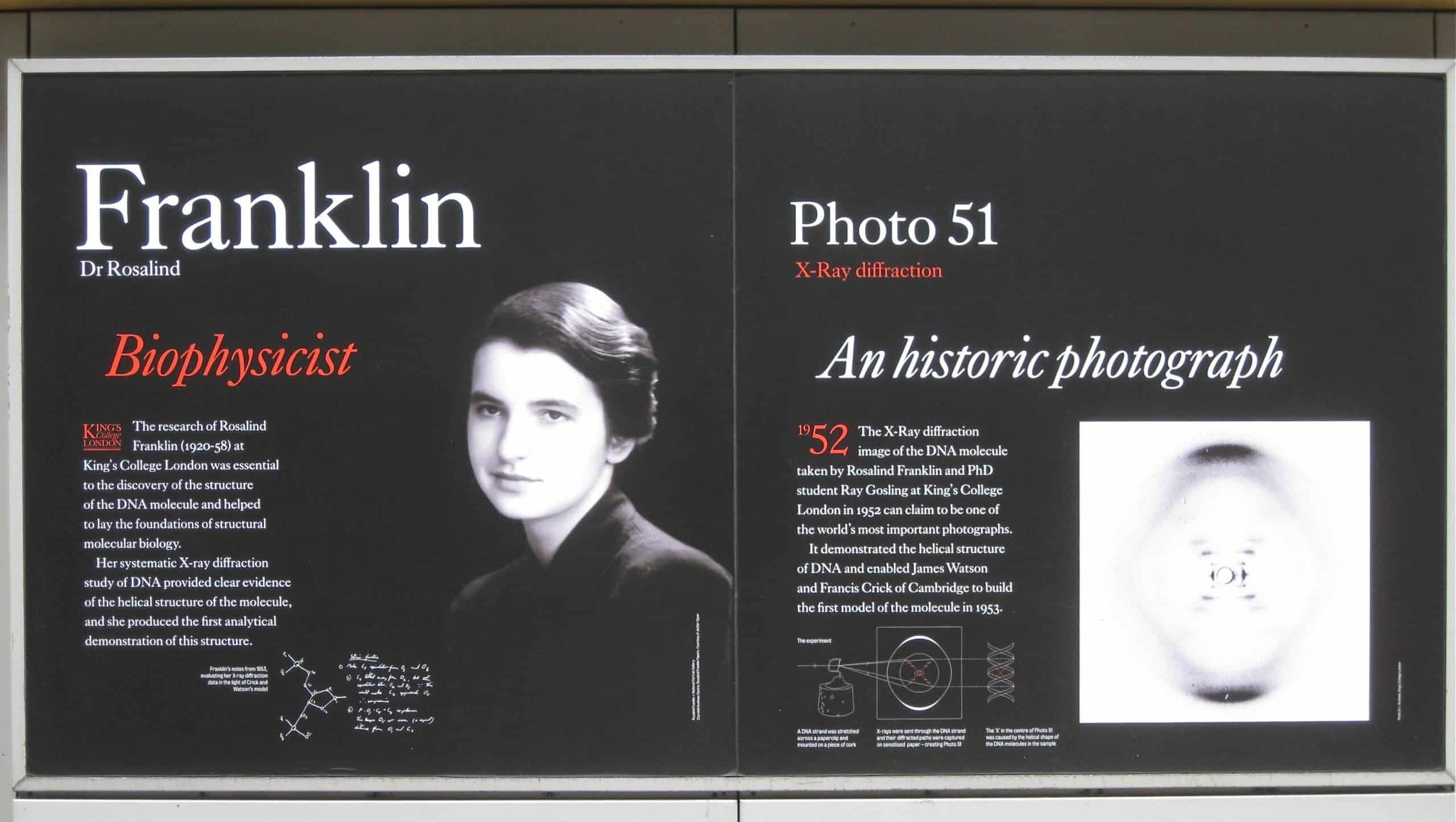 Dr Rosalind Franklin and Photo 51 geograph.org .uk 3258777 scaled e1786143728156