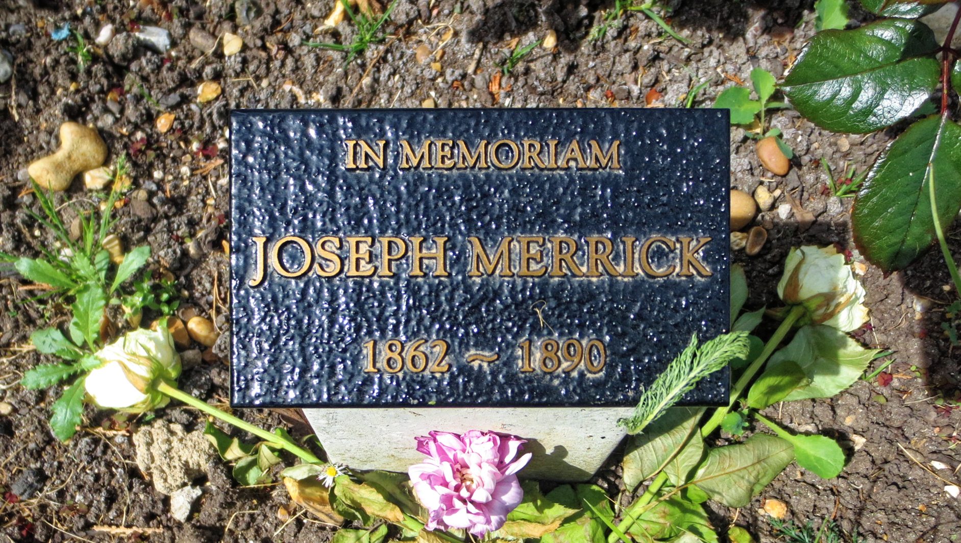 Joseph Merrick