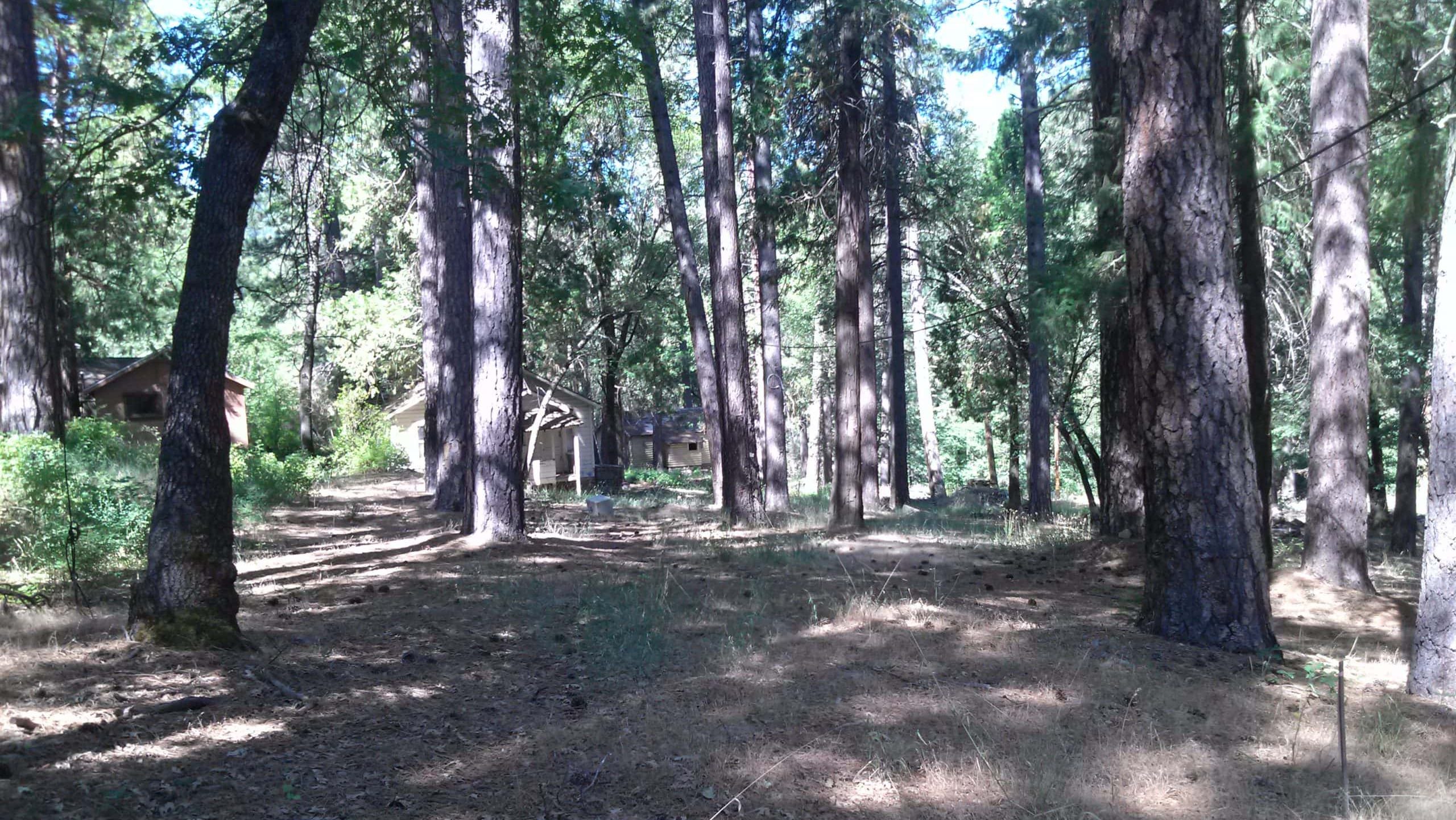 Keddie Cabin 28
