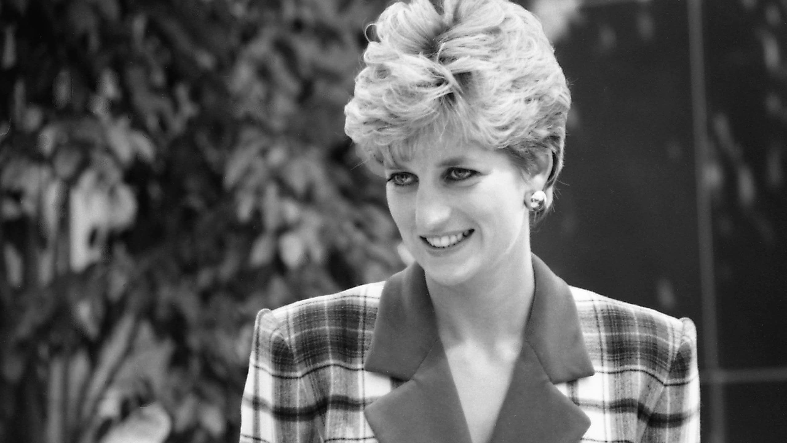 Princess Diana at Accord Hospice