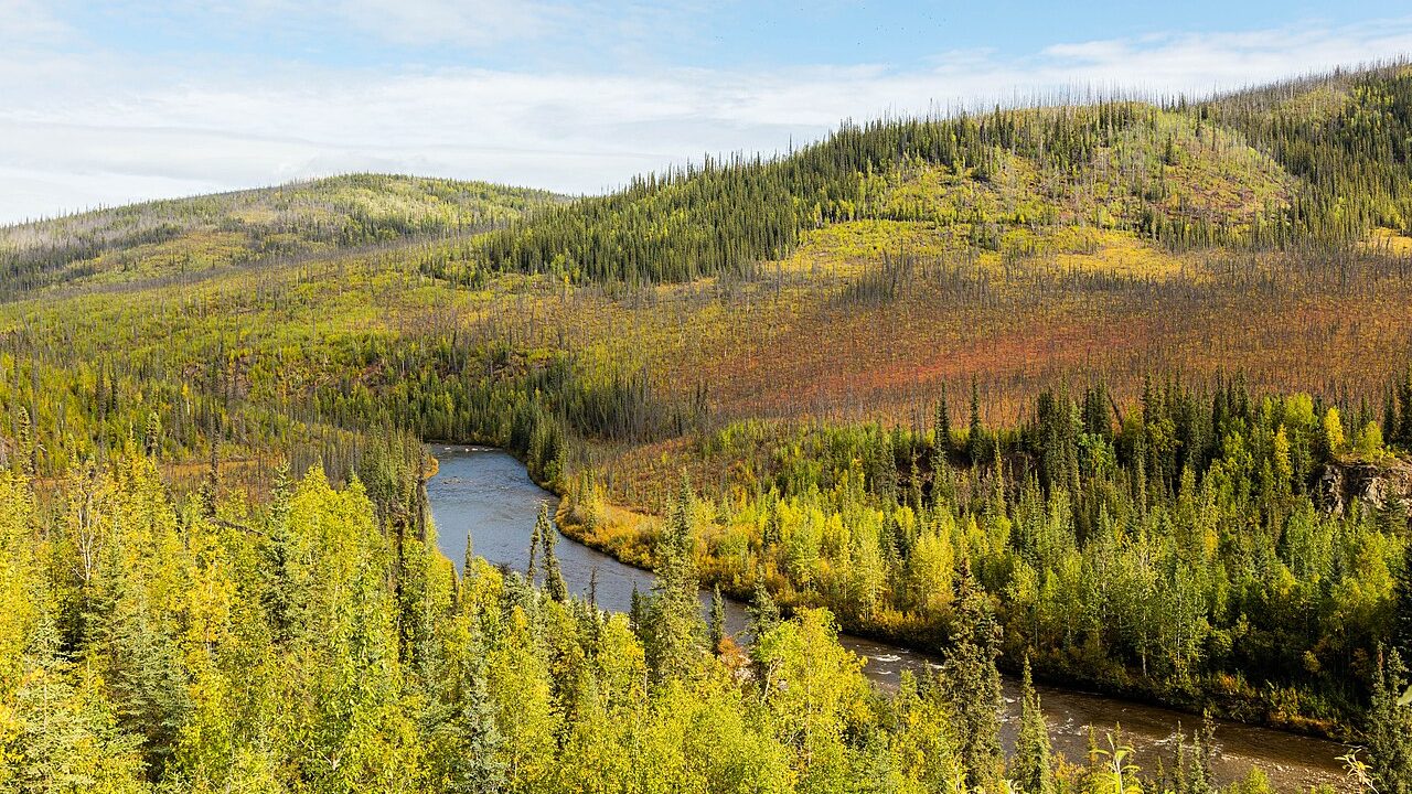 RÃo South Fork, Chicken, Alaska, Estados Unidos, 2017-08-28, DD 92.
