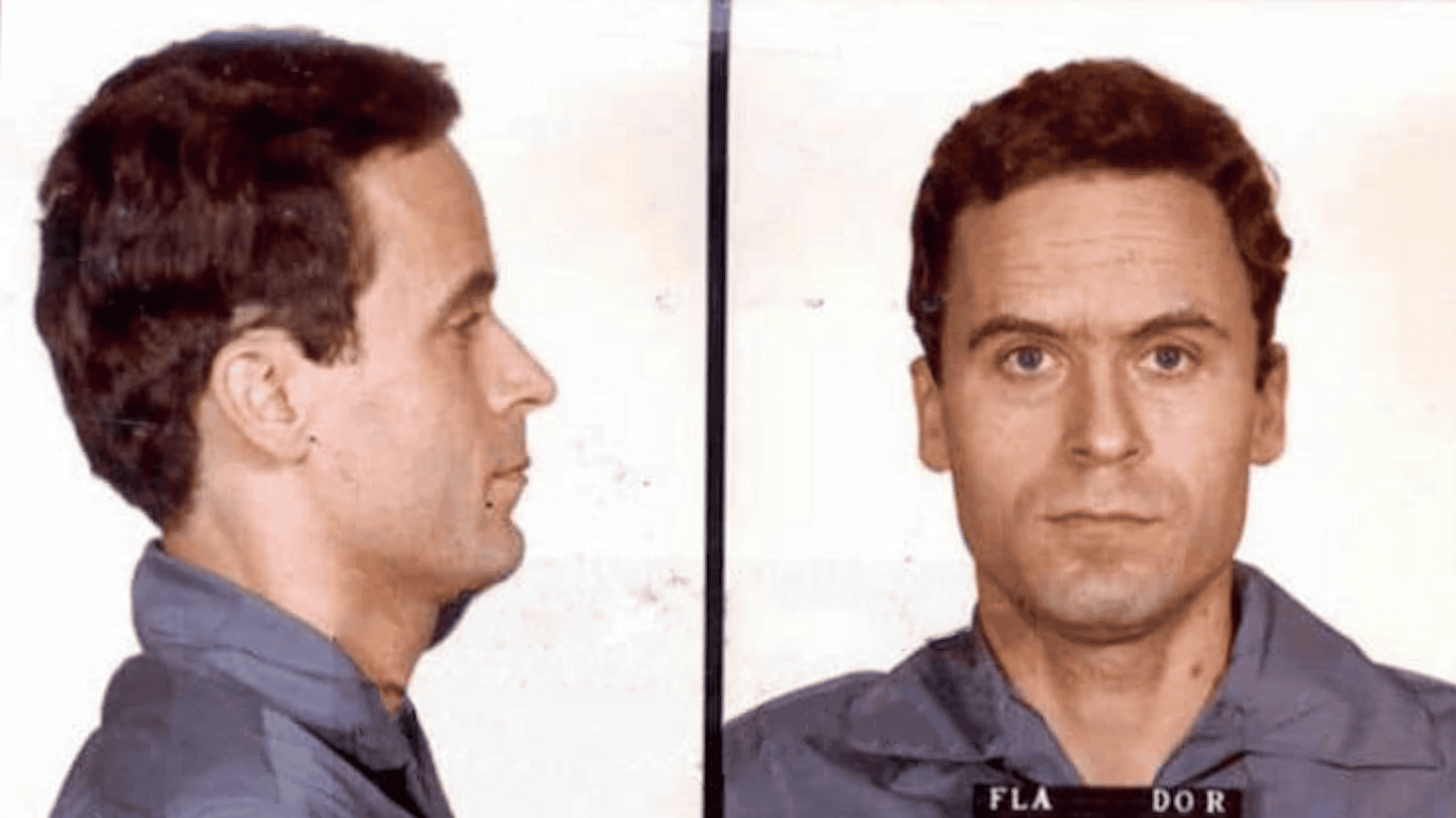 Ted Bundy's 1979 Florida Department of Corrections mugshot, taken August 1, 1979.