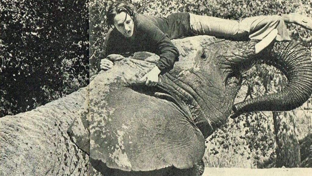 Tippi Hedren and Timbo the Elephant press clipping