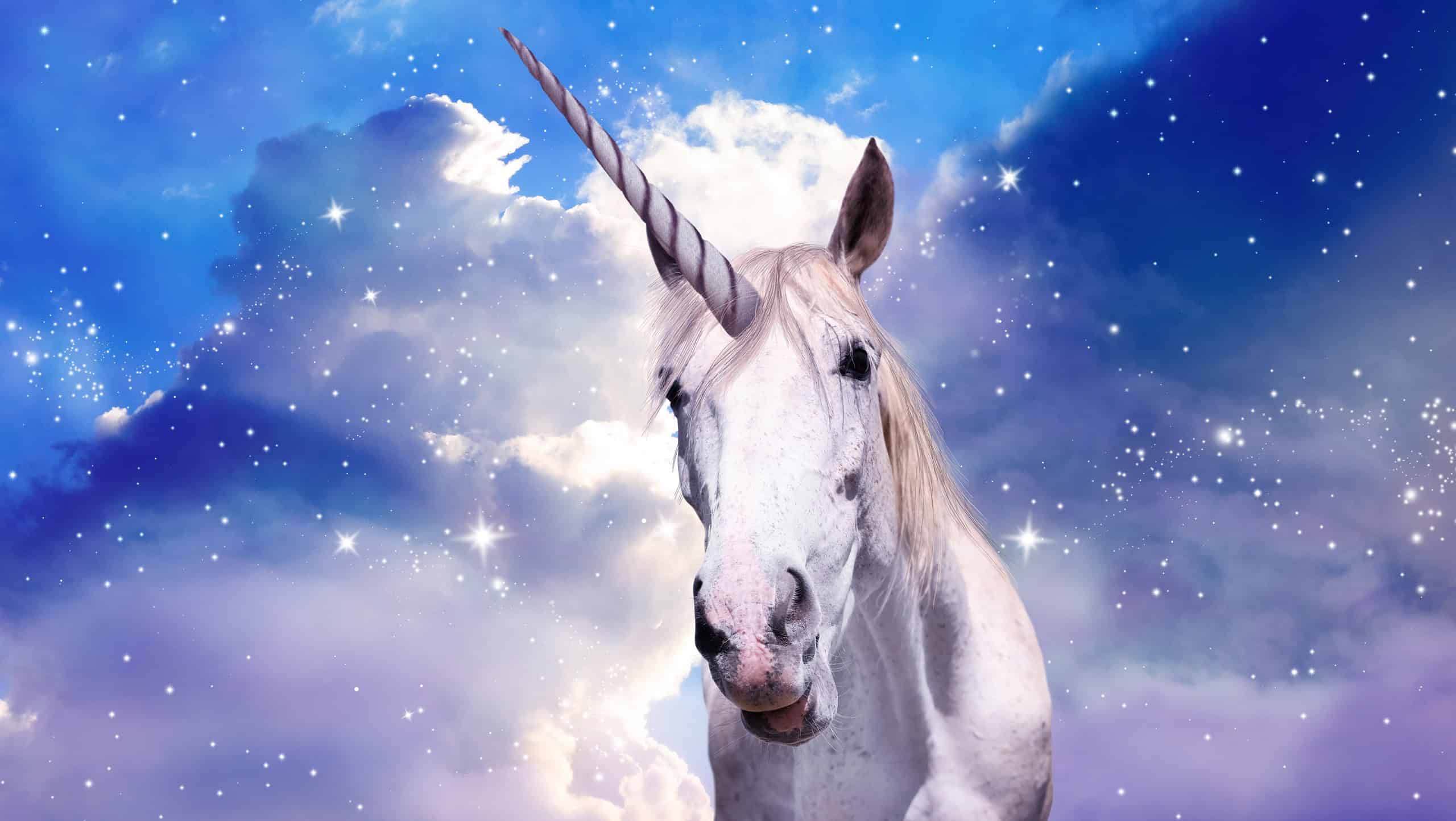 Magic unicorn in fantastic starry sky with fluffy clouds