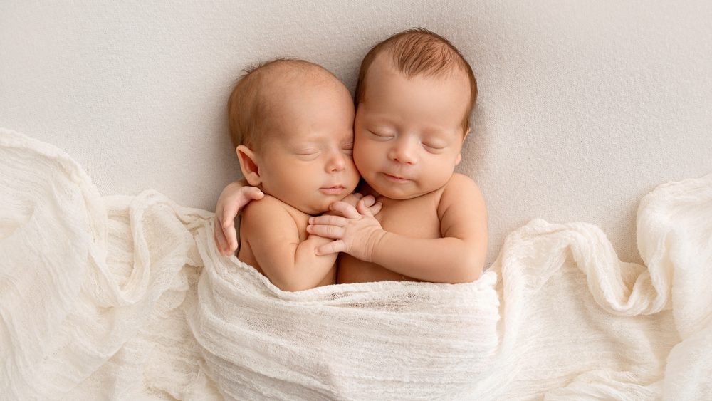 Tiny newborn twins boys in white cocoons on a white background. A newborn twin sleeps next to his brother. Newborn two twins boys hugging each other.Professional studio photography