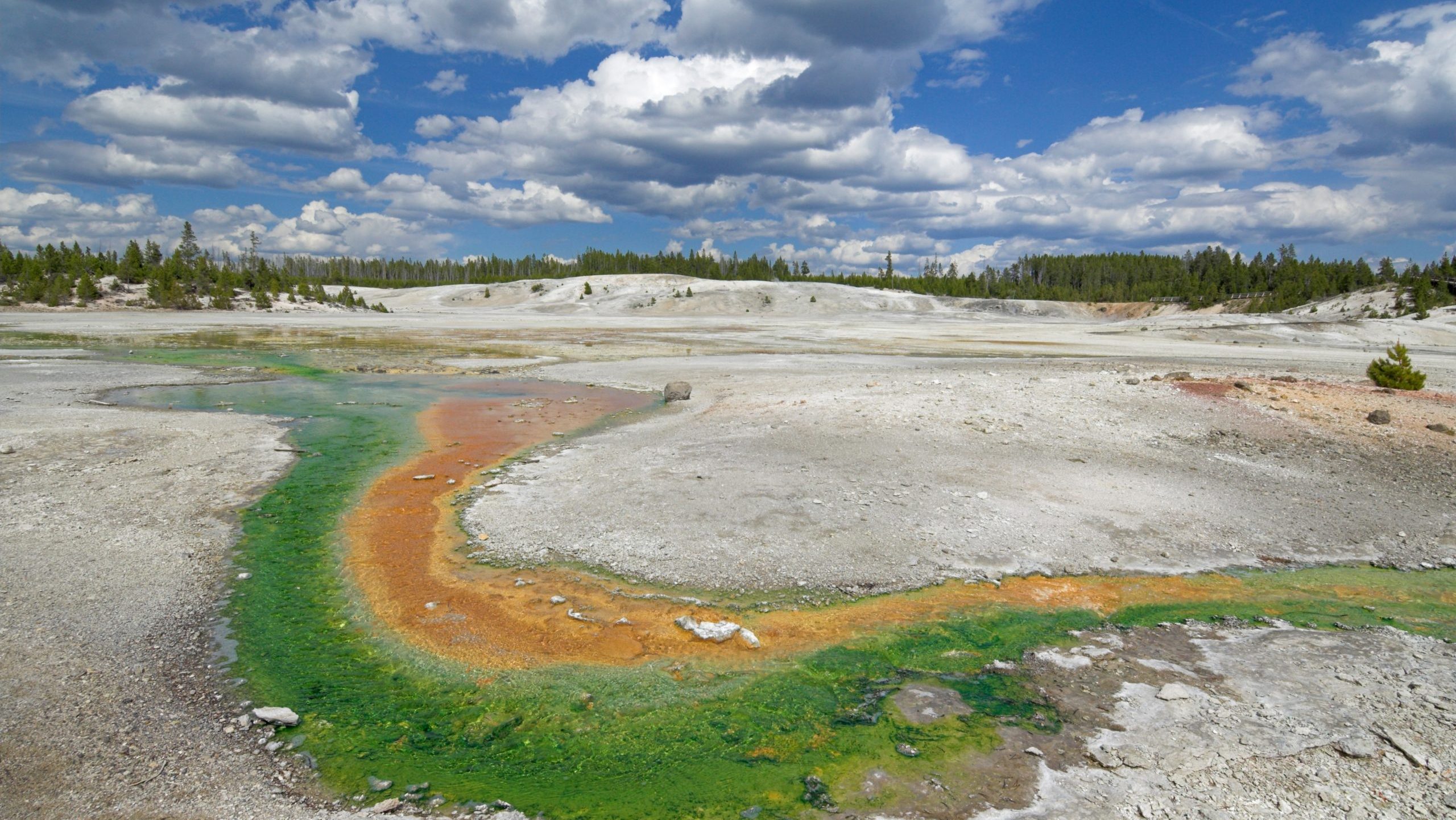 Whirligig geyser runoff, porcelain basin, norris geyser basin, yellowstone national park, unesco world heritage site, wyoming, united states of america, north america