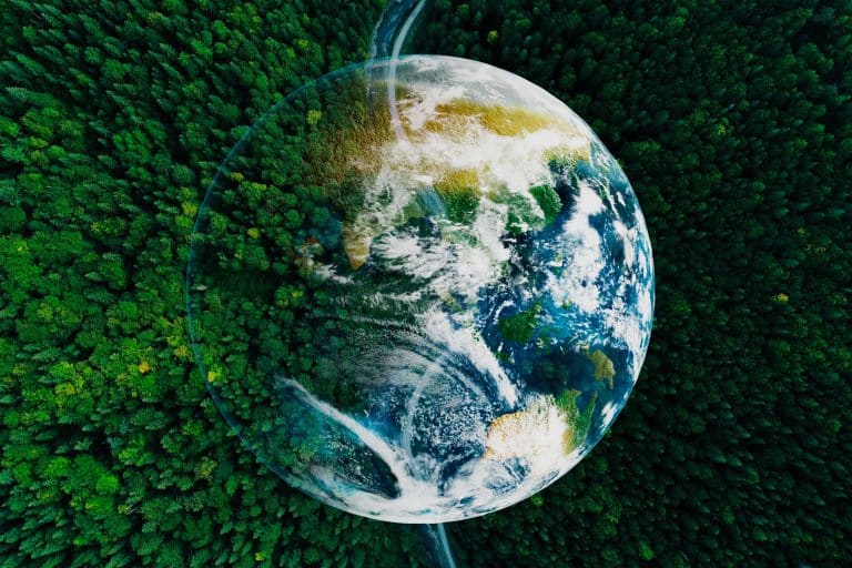 Save the planet. Aerial view of coniferous forest and planet Earth, double exposure