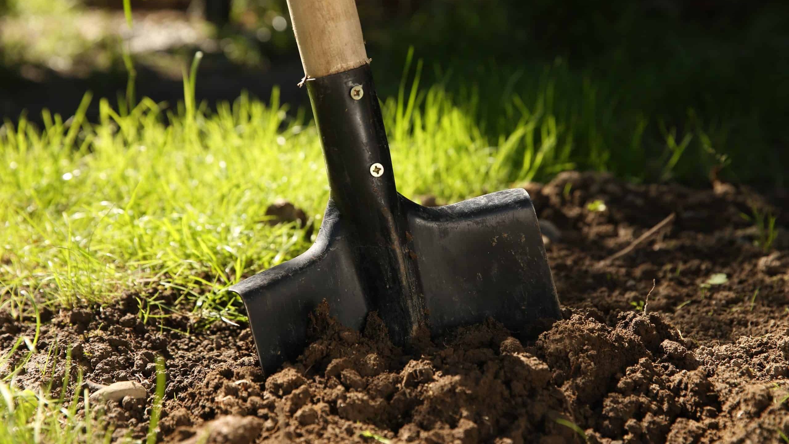 One shovel sticking out of ground on sunny day, closeup. Gardening season