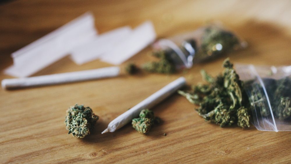 Cannabis, buds and blunt on drug table, weed and thc benefit for mental health or cbd. Herbal pharmaceutical, 420 joint and hallucinogenic in smoking ganja plant, marijuana and holistic stress relief