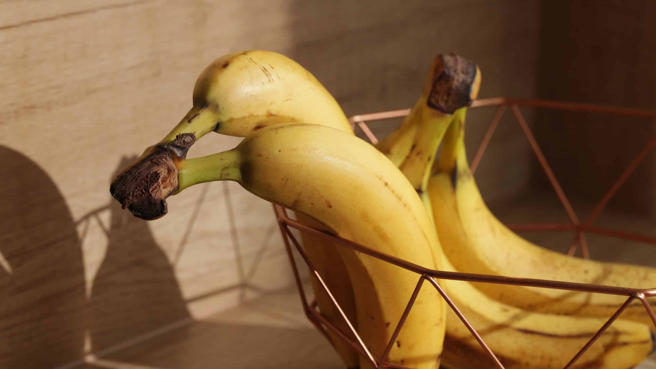 Bananas on wooden kitchen counter. Ripe bananas isolated on table. Sunlight fruits. Quick healthy morning snack. Yellow fruits with brown stains. Bananas in decorative metal bowl. Sun morning shadow