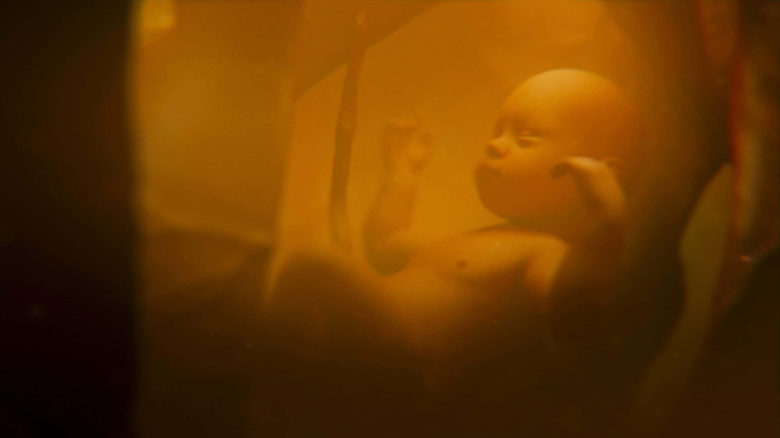 3D animated graphics of baby developing in mother womb and amniotic fluid inside abdomen. Fetal development from conception to the birth. Human reproductive system. Pregnancy and motherhood concept.