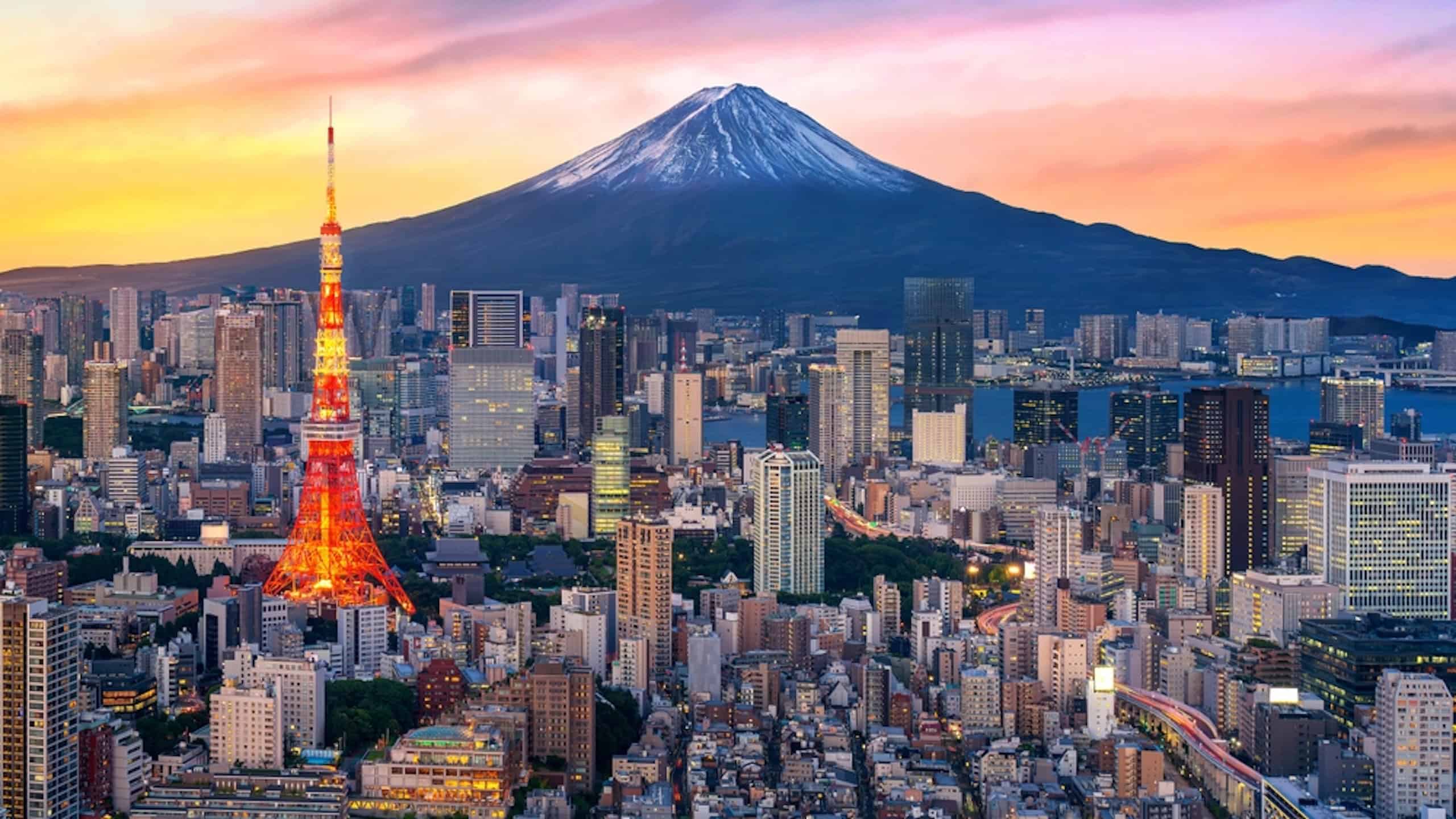 Aerial view of Tokyo cityscape with Fuji mountain in Japan.