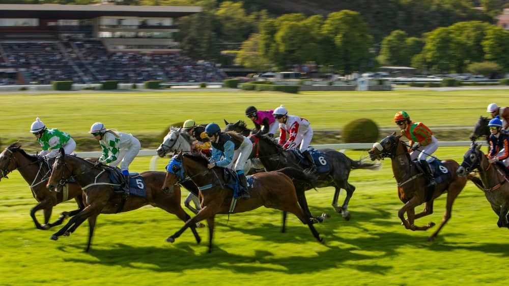 Racehorses in a line gallop up to the Winning Line together, shaving effect