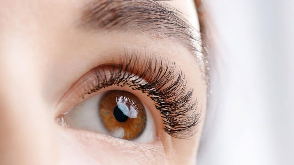 Close-up of female caucasian adult brown eye with long eyelash extensions.