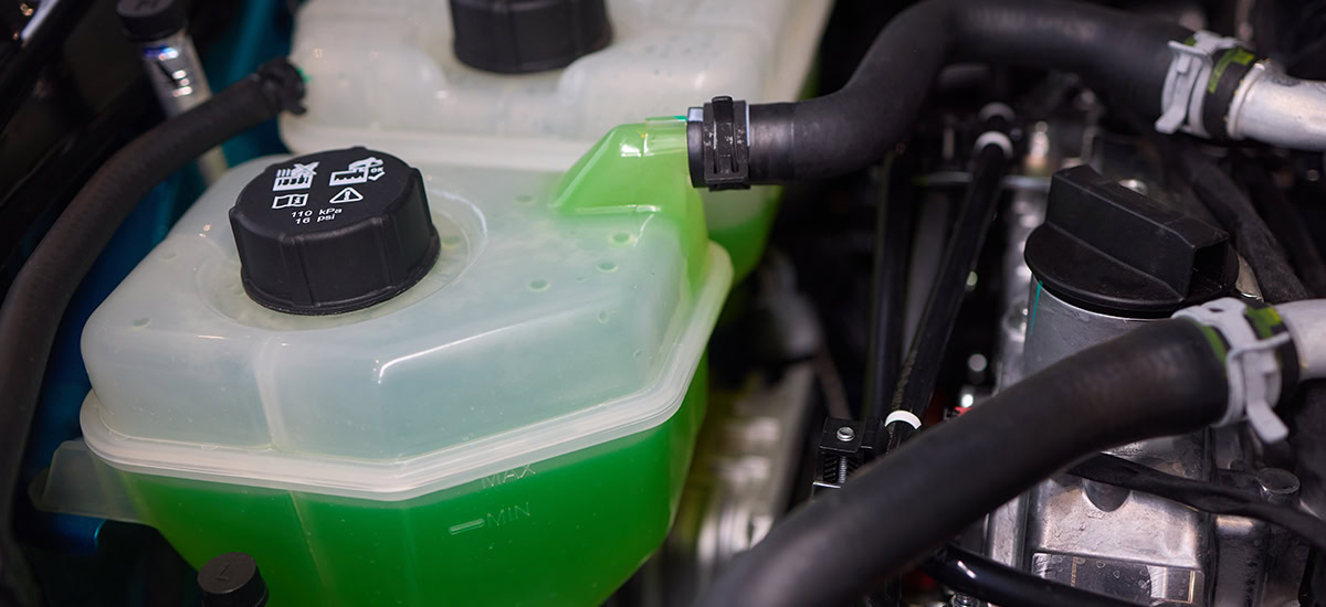 Engine coolant reservoir with green coolant for vehicle cooling system.