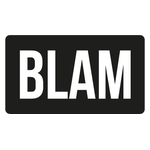 BLAM car audio system installed in a vehicle for premium sound quality.