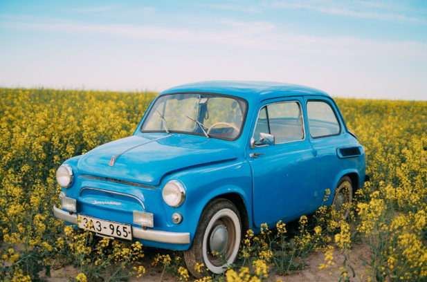 Classic blue car in a yellow flower field, perfect for spring tire and maintenance checks.