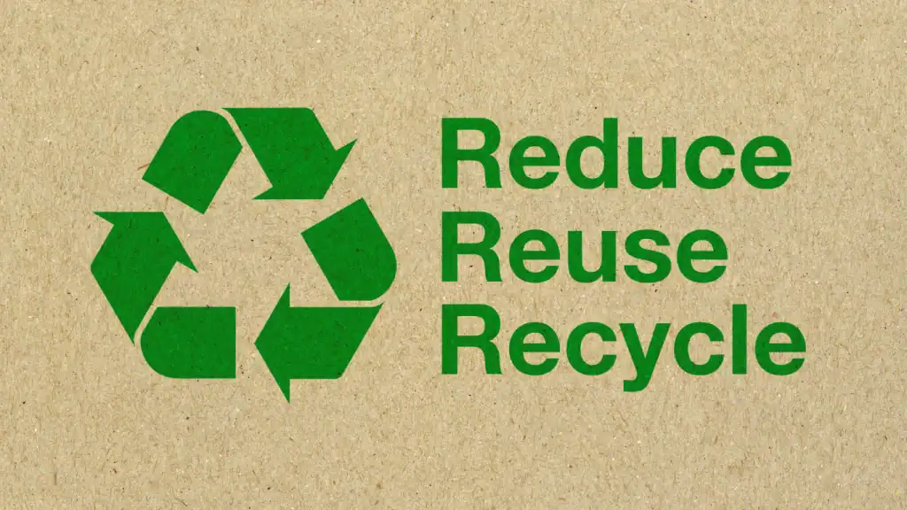 sustainable surfboards