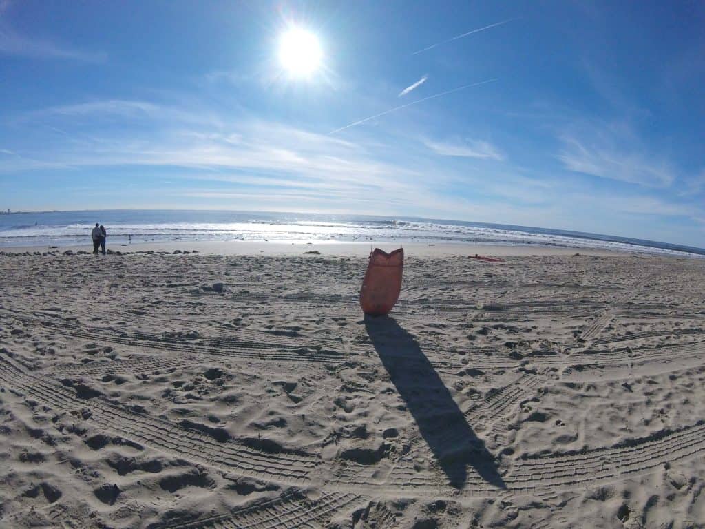 Topanga Beach fish surfboard