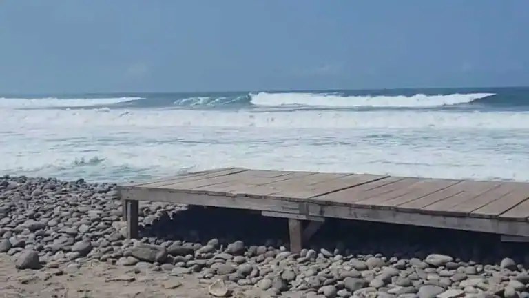best surf camps el salvador