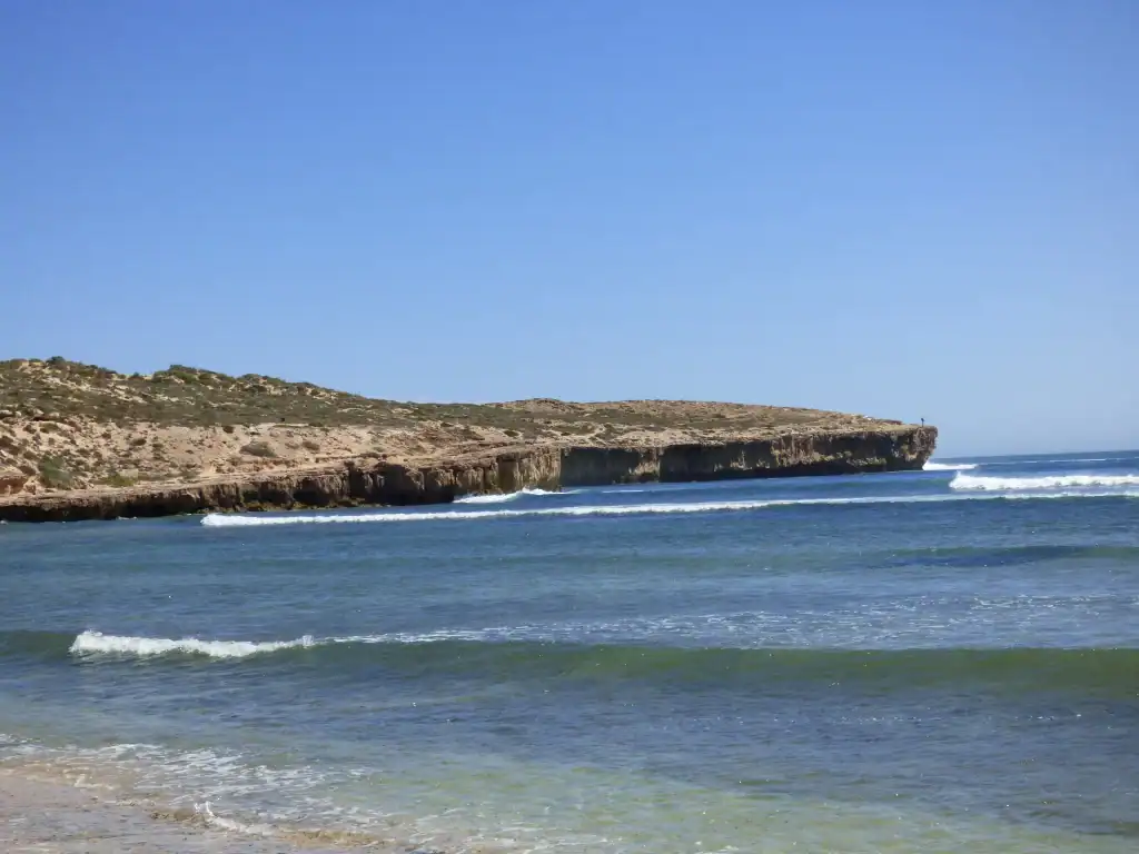 cactus beach beginner's wave