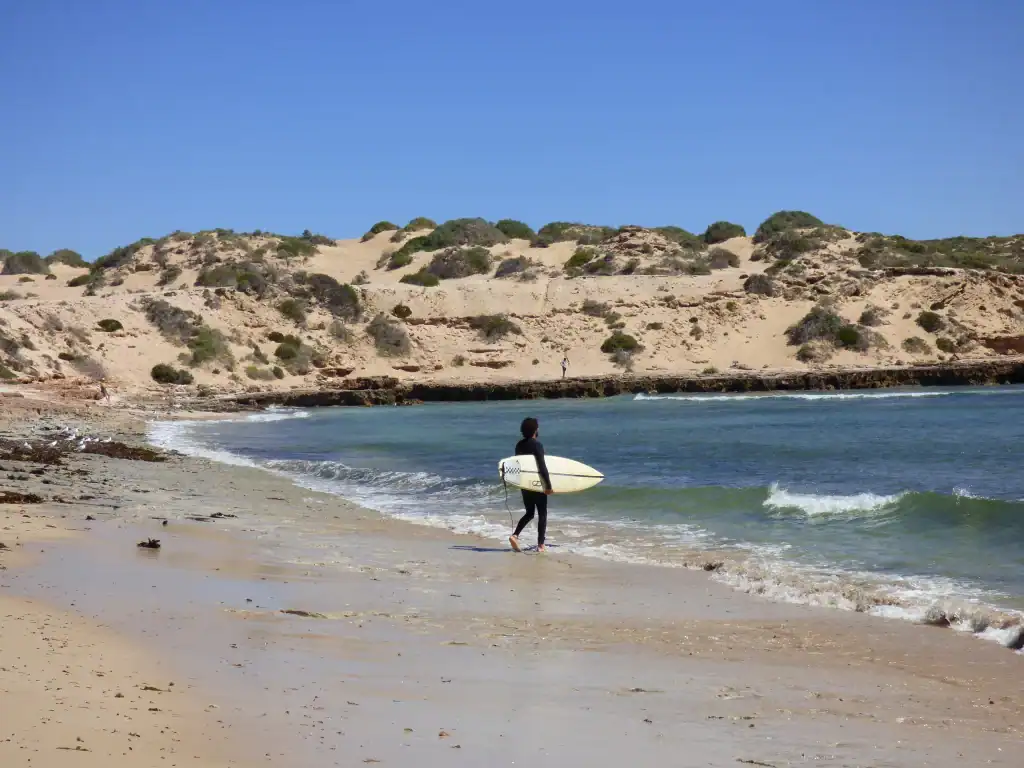 Surfing Point Siniclar