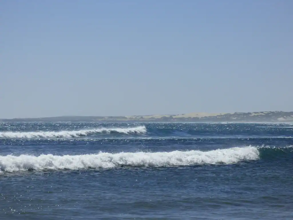 surfing in cactus beach