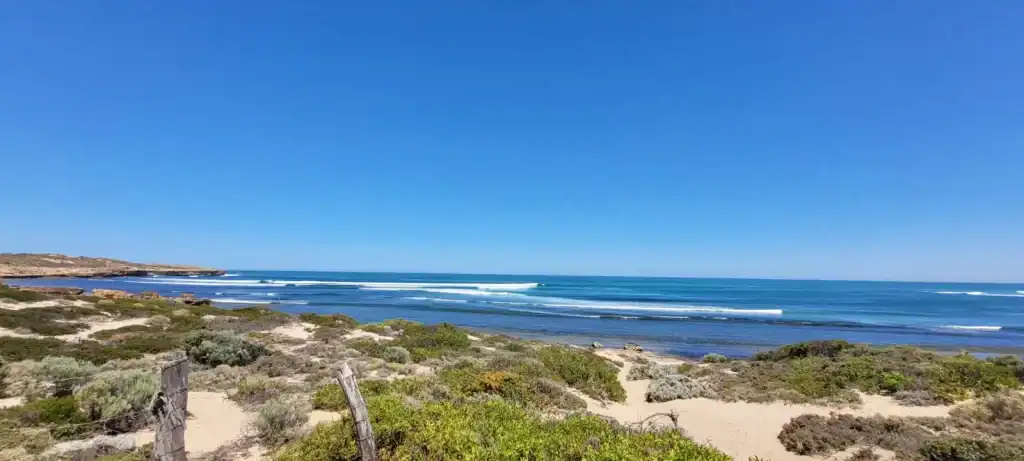 cactus beach middle of the bay