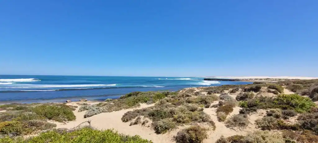 cactus beach supertubes