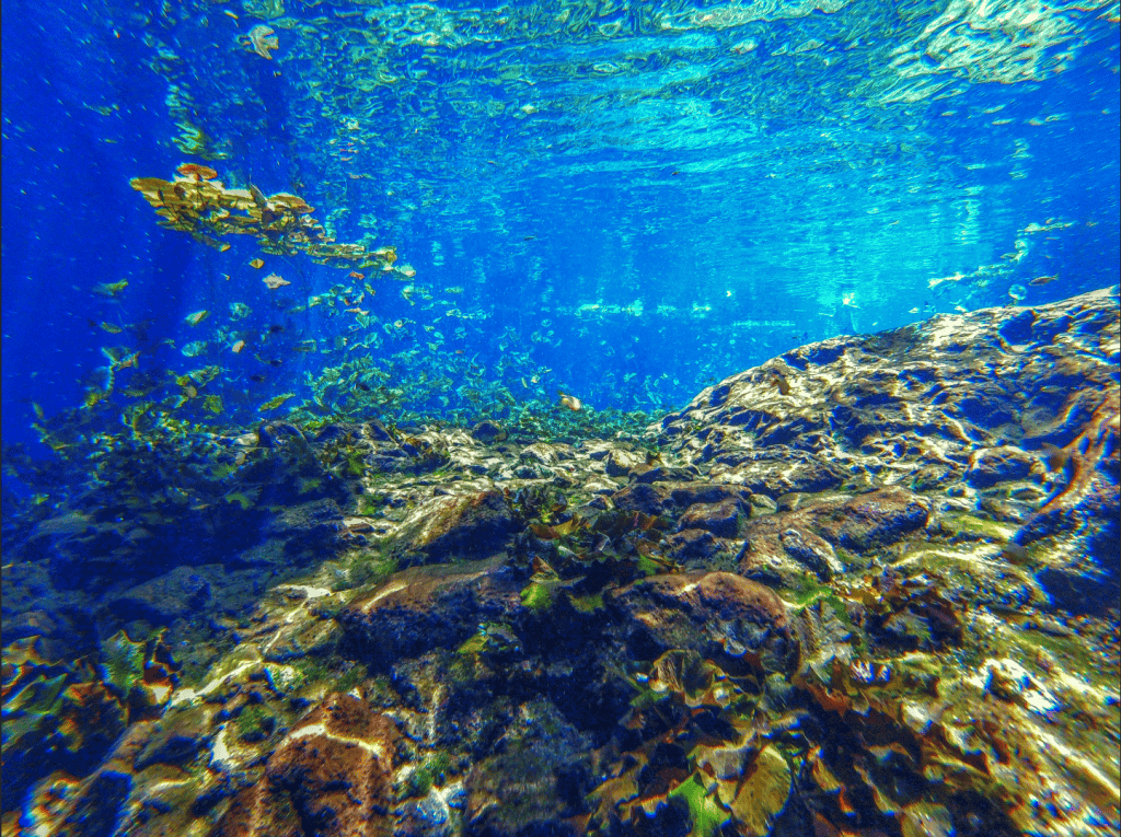 Snoreklling in a Cenote